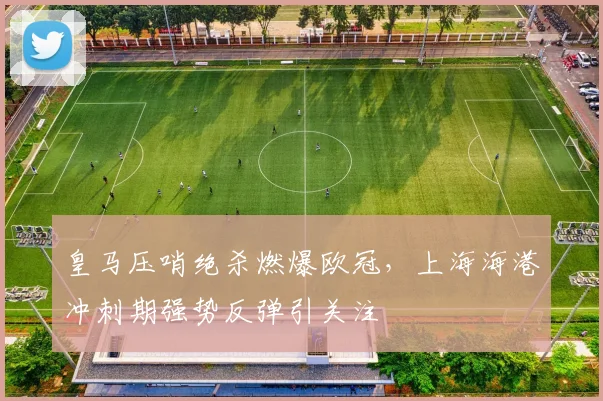皇马压哨绝杀燃爆欧冠,上海海港冲刺期强势反弹引关注 - MK体育官方网站